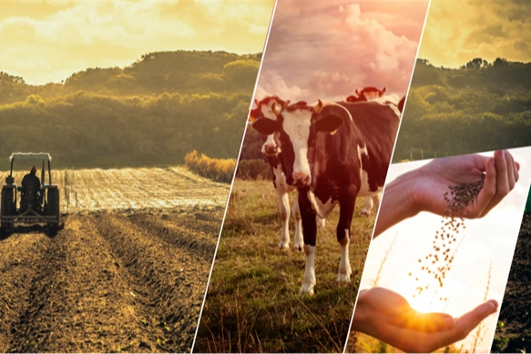 17,4 milyar TL'lik tarımsal destek &ccedil;ift&ccedil;ilerin hesabında