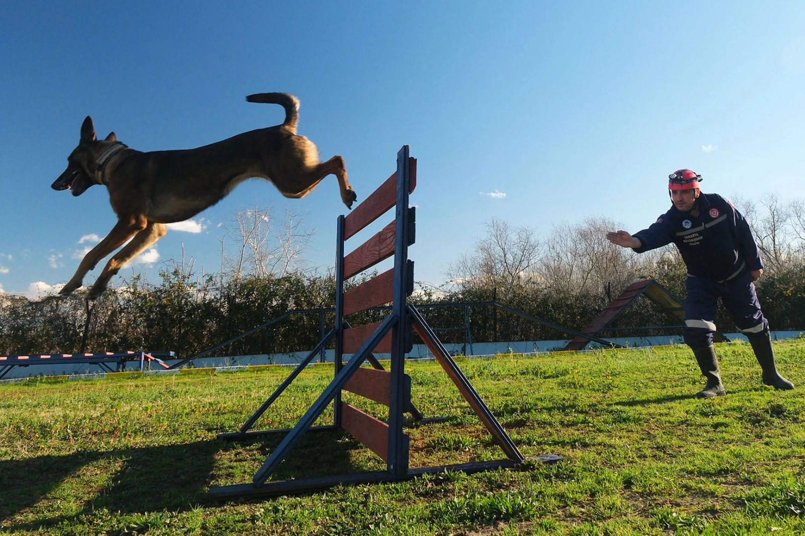 Sakarya'da Reina, Ateş, Google ve Labrador en zor anda &lsquo;umut&rsquo; olmaya hazır kıta