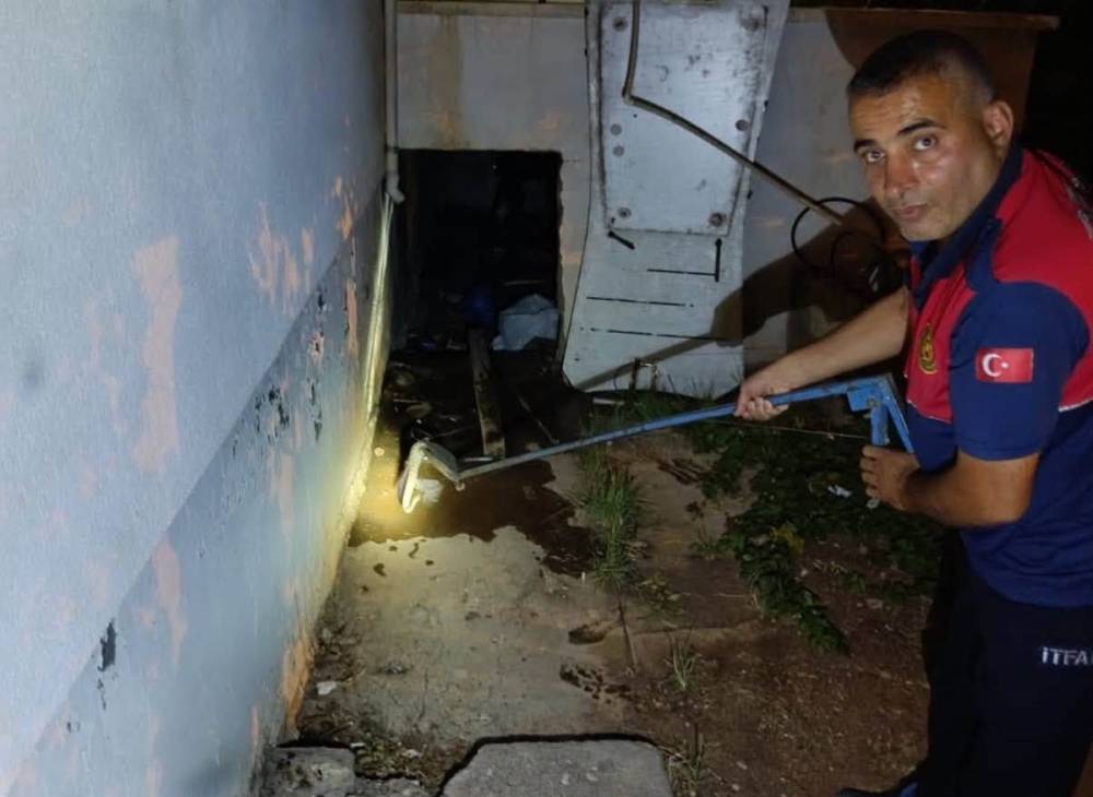 Depoda yakalanan yılan doğaya salındı 