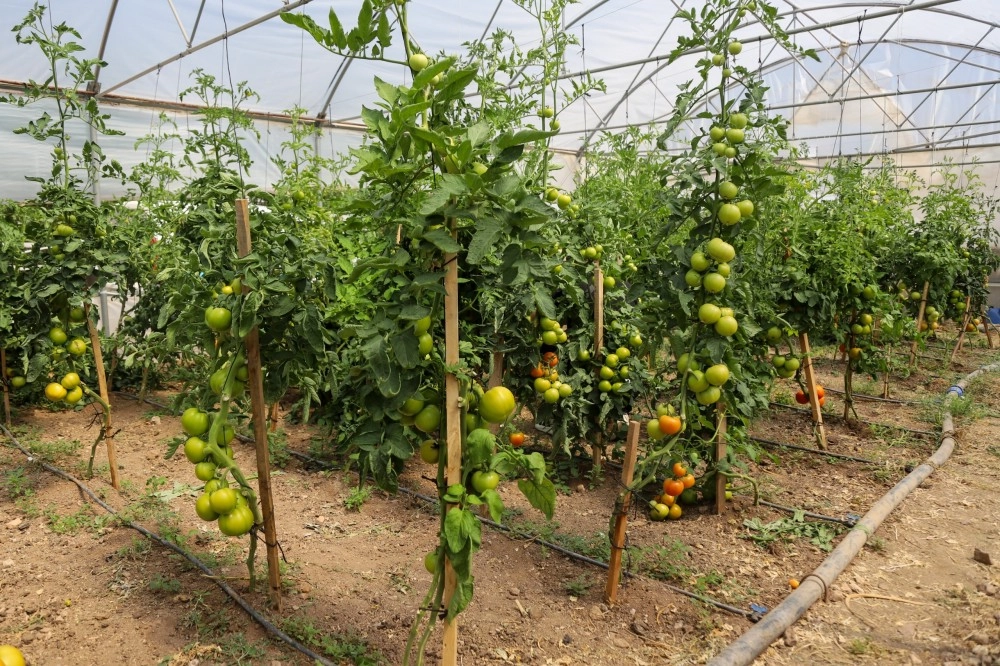 Eskişehir&rsquo;de &Ccedil;ift&ccedil;i Destekleme ve Eğitim Merkezi kuruluyor