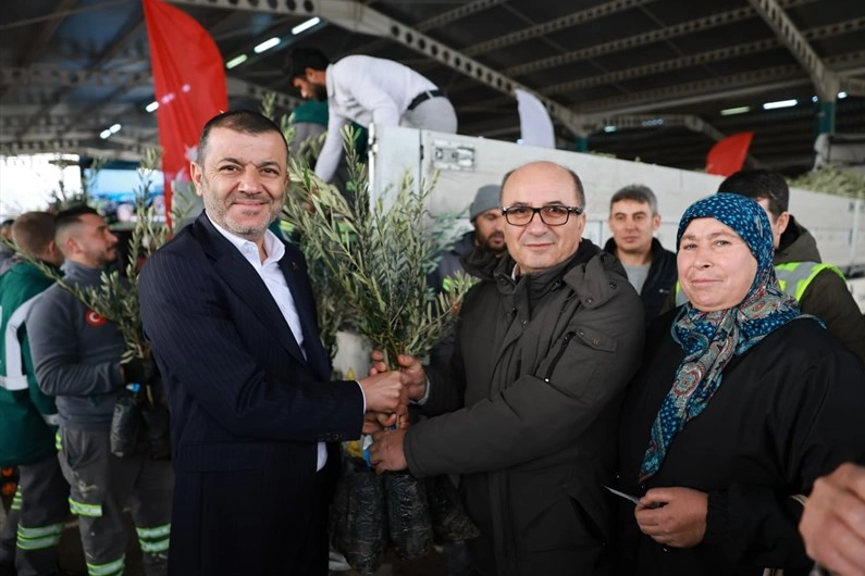 &Uuml;reticiye 84 bin sertifikalı zeytin fidanı