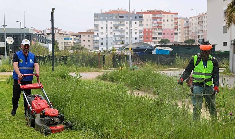 Buca'da bahar temizliği