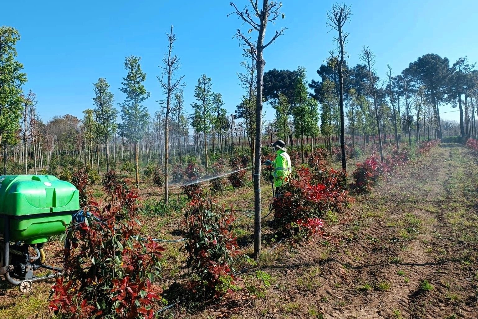 İzmir&rsquo;de MasterChef şefleri gastronomi tutkunlarıyla buluştu