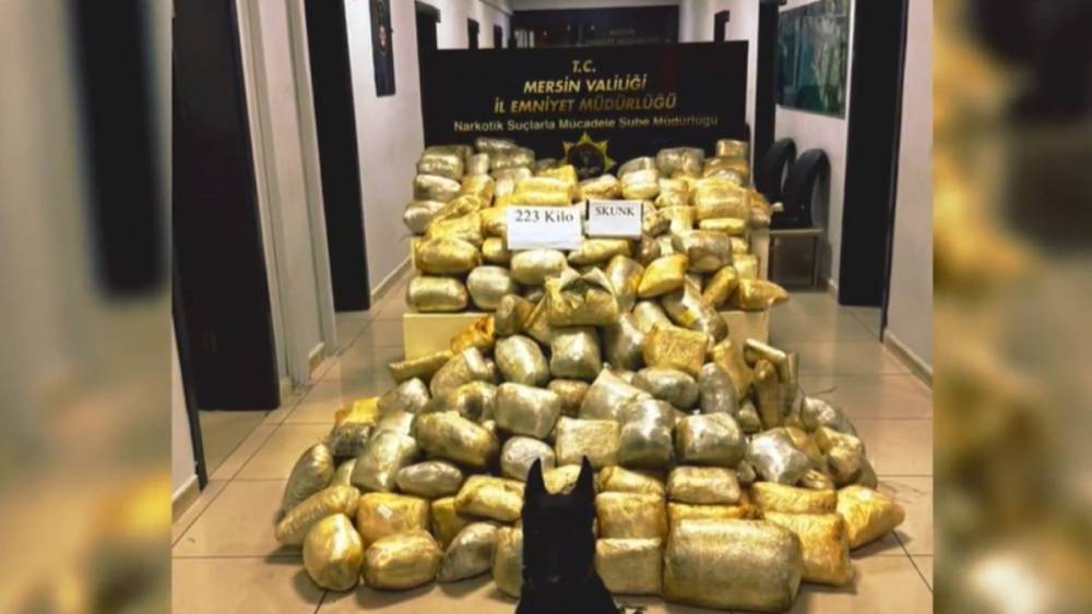Bakan Yerlikaya: ‘Mersin ve Erzurum’da 447,5 kilo uyuşturucu ele geçirildi’ 