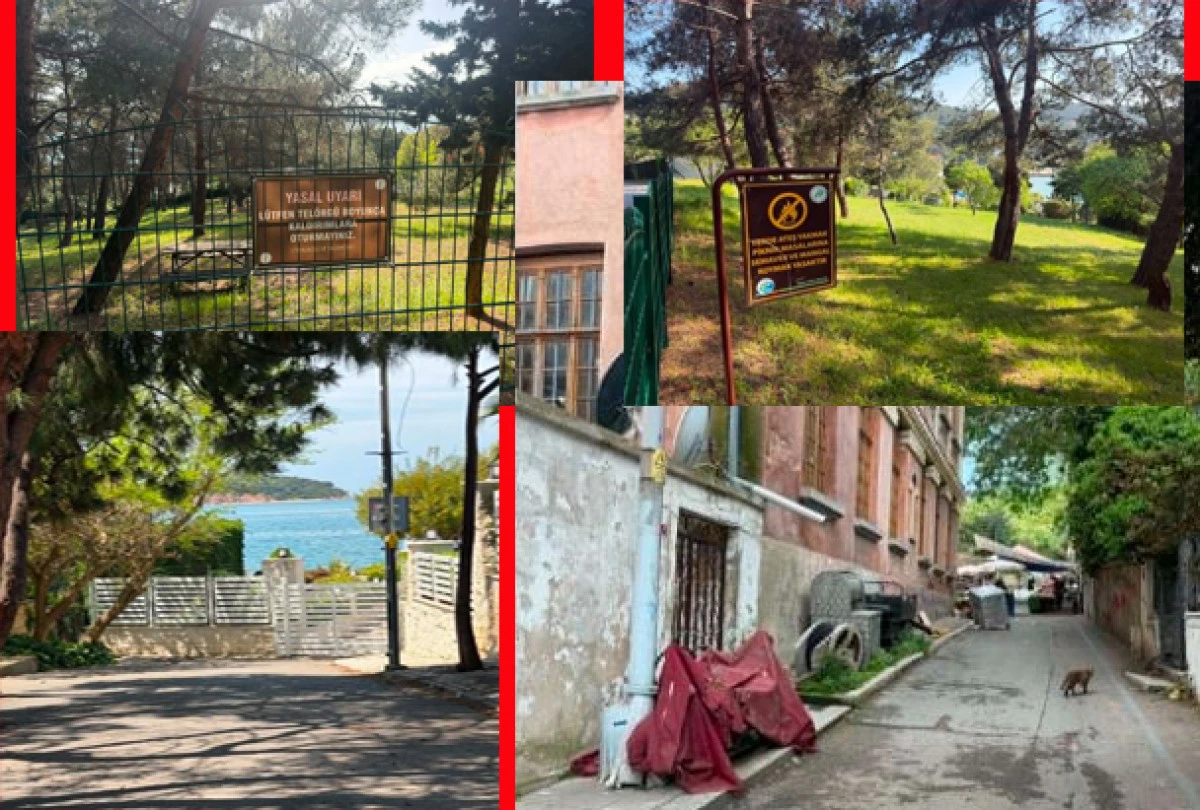 HEYBELİADA &Ouml;LM&Uuml;Ş AĞLAYANI YOK